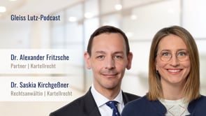 20 Jahre europäische Fusionskontrollverordnung - Teil 2